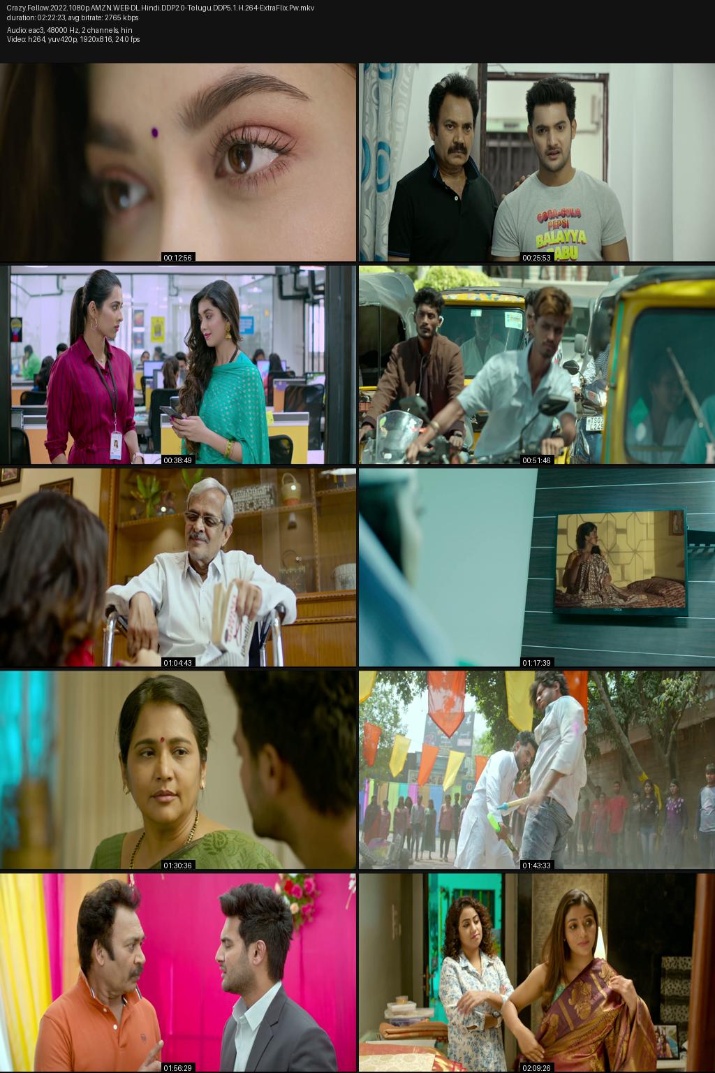 Crazy Fellow (2022) [Hindi-Telugu] 1080p 720p 480p Amazon WEB-DL ESub Screenshots