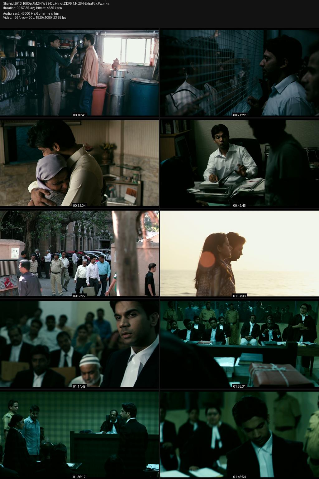 Shahid (2013) [Hindi] 1080p 720p 480p Amazon WEB-DL ESub Screenshots