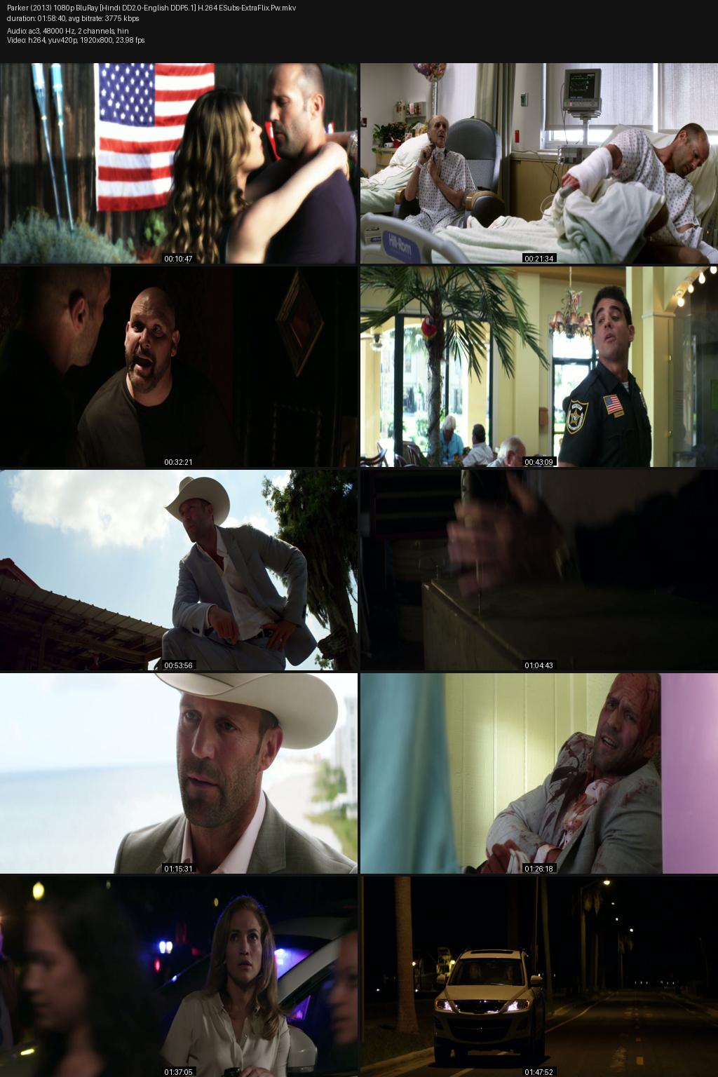 Parker (2013) [Hindi-English] 1080p 720p 480p BluRay ESubs Screenshots
