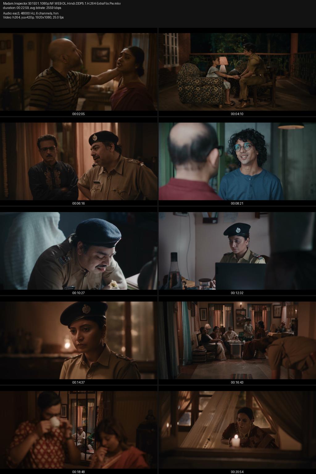 Madam Inspector aka Birangana Season 1 (2025) [Hindi] 1080p 720p 480p Netflix WEB-DL ESub Screenshots