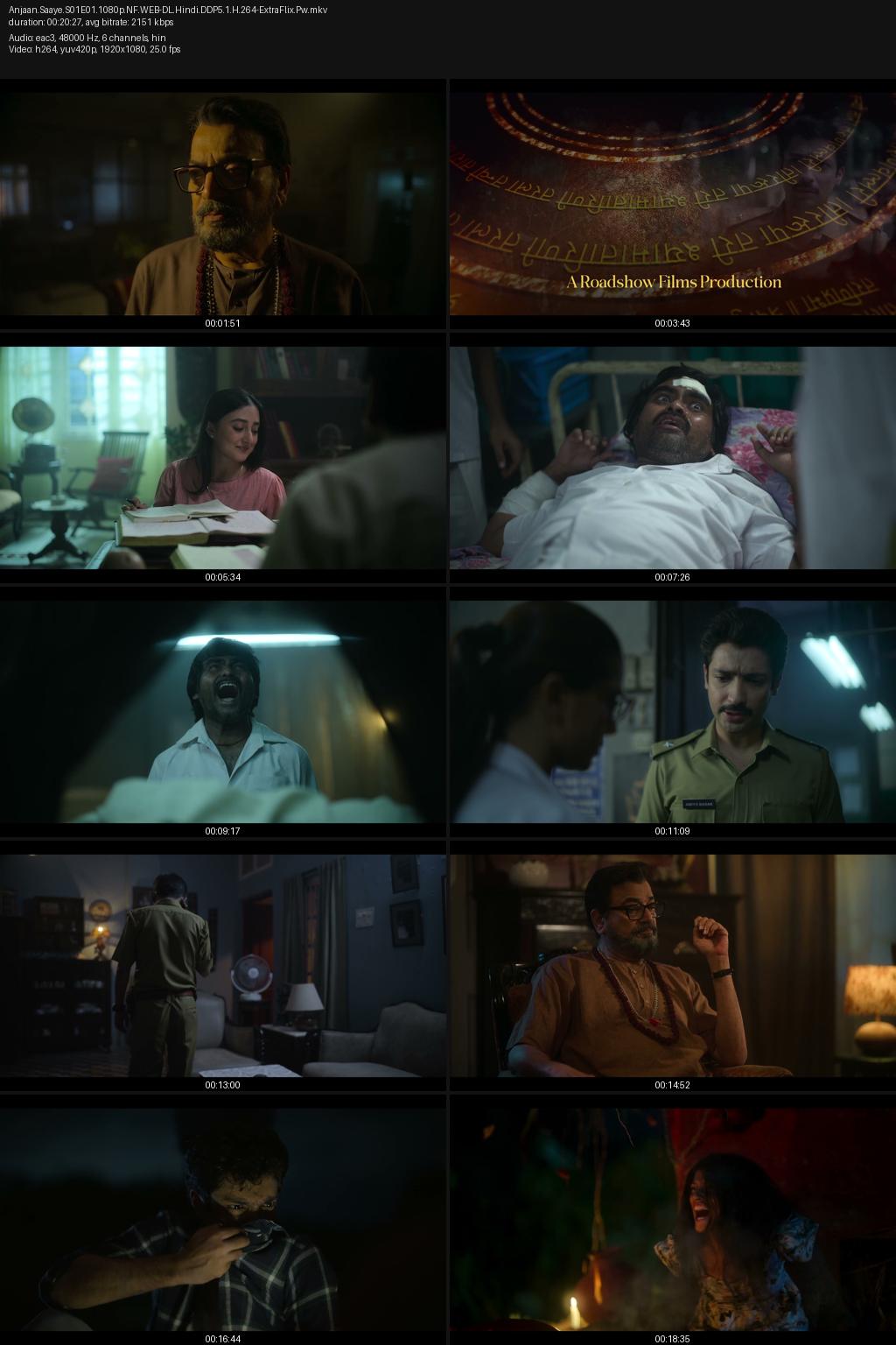 Anjaan Saaye aka Nikosh Chhaya Season 1 (2024) [Hindi] 1080p 720p 480p Netflix WEB-DL ESub Screenshots