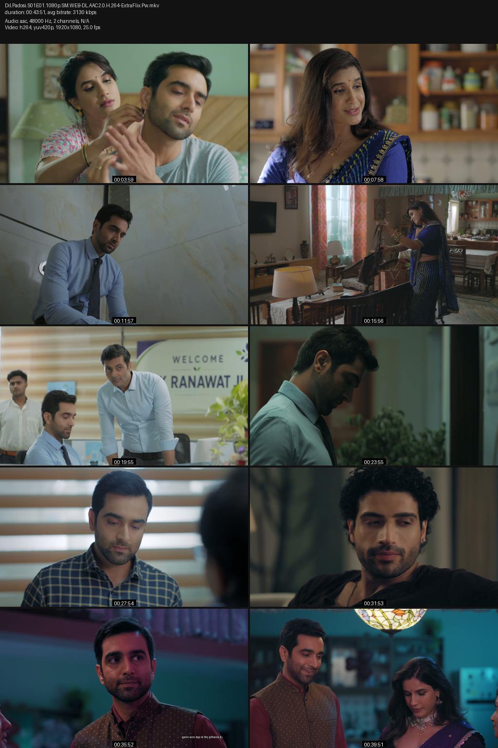Dil Padosi Season 1 (2026) [Hindi] 4K 2160p 1080p 720p 480p ShemarooMe WEB-DL ESub Screenshots